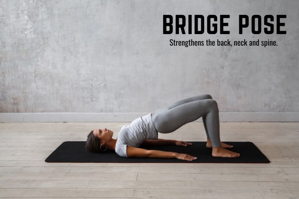 Yoga For Beginners - Bridge