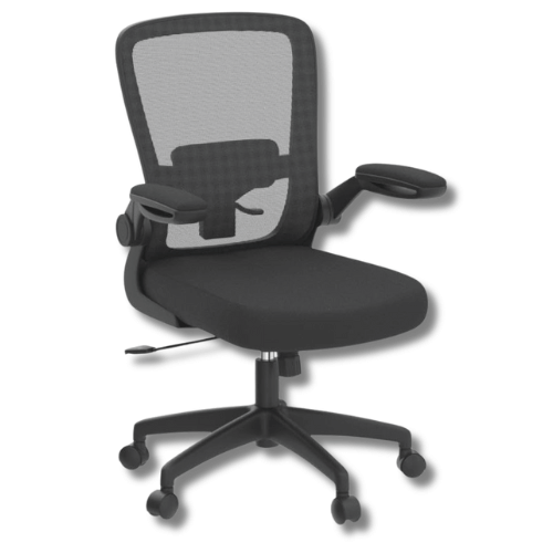 FelixKing Ergonomic Office Chair