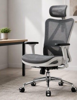 SIHOO M57 Ergonomic Office Chair