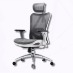 SIHOO M57 Ergonomic Office Chair