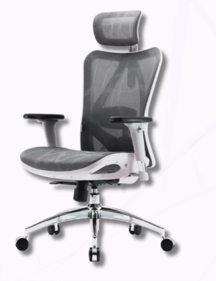 SIHOO M57 Ergonomic Office Chair