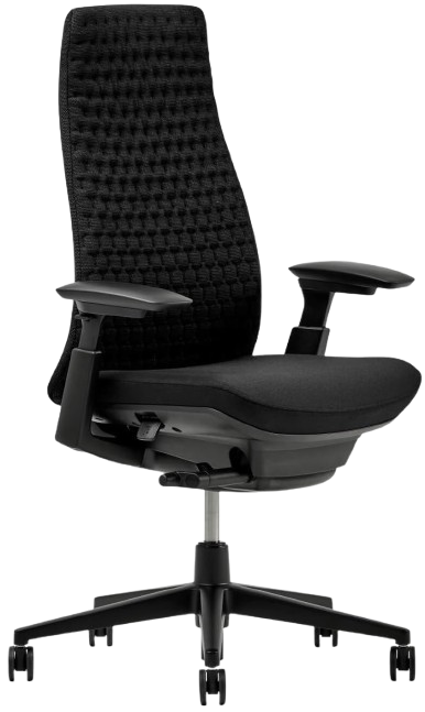 Haworth Fern Ergonomic Office Chair