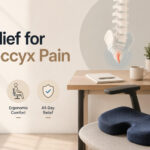 Best Office Chair for Coccyx Pain
